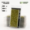 Moss 2mm