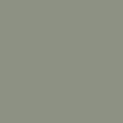 Light Green Grey (106)