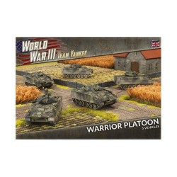 Warrior Platoon (x5 Plastic)